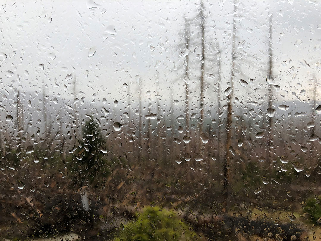 harz_regen